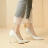 Large Size Fashion High Heels 2025 Spring and Autumn New Banquet Temperament Sexy and Comfortable Work Professional Shoes