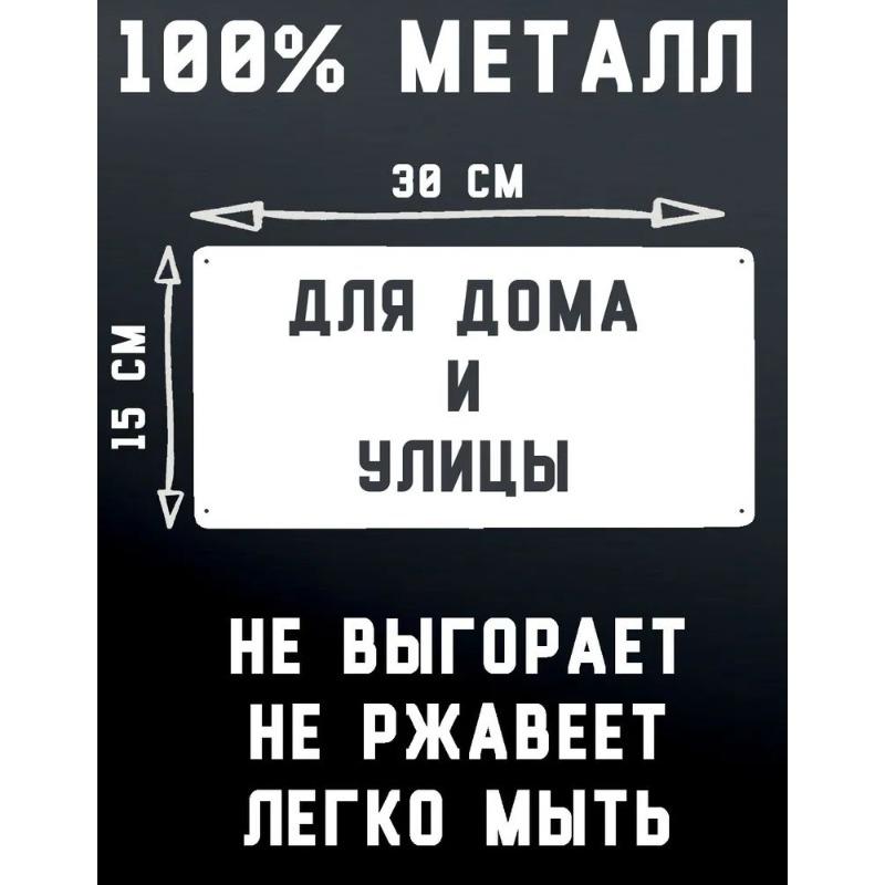 Motorcycle Souvenir License Plate, Metal Auto Wall Decor 15x30cm
