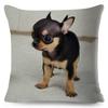 Cute Little Dog Chihuahua Cushion Cover Decor Lovely Pet Animal Pillowcase Polyester Throw Pillow Case for Sofa Home Car ,(4)