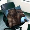 Alpha Sigma Wolf Cool Kissenbezug für Sofa-Dekor Auto Büro Zimmer Druck Kissenhülle Dekorationen und Schutz