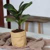 Cement Vase Ornament Imitation Paper Bag Hydroponic Flower Holder Flowerpot  Balcony