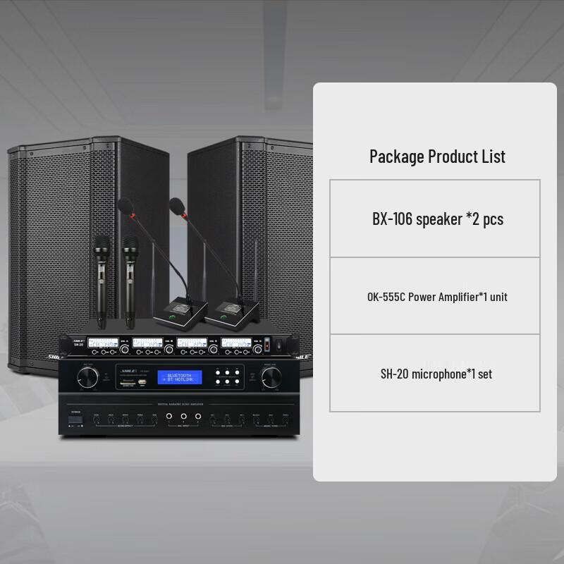 SHILE 10-inch Conference Speaker System (CN Version)