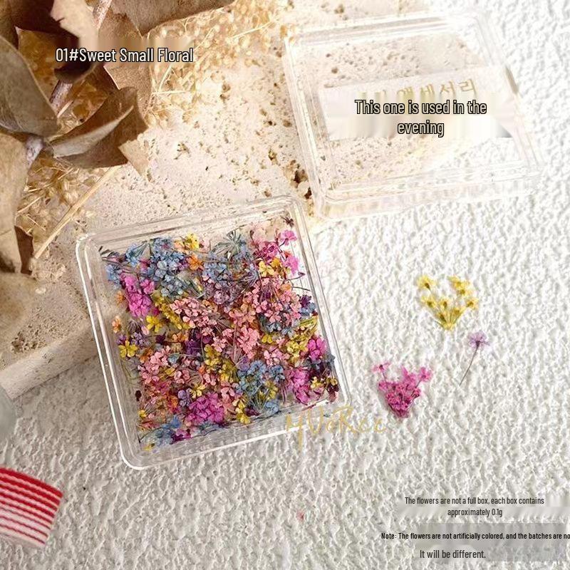 Japanese Fresh Dried Flower Nail Art Decorations: Colorful Petals & Mixed Materials for DIY