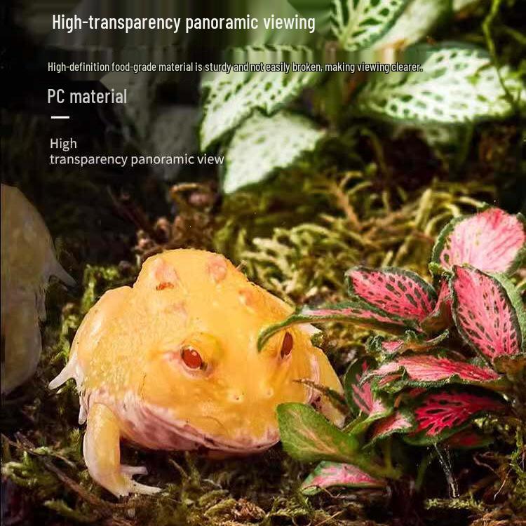 Acrylic Terrarium for Reptiles and Insects