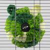 Parrot Breeding Nest Bed Versatile Bird Sleeping Hut Parakeet Sleeping Nest Breathable Bird House Winter Warm Parrot Nest
