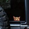 Cute Cat Window Vinyl Decal 5"x3.5" (Set of 2) Waterproof Car Truck SUV Laptop Glass Wall Indoor Outdoor | #AZ142