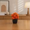 Simulated Small Potted Plant Maintenance-Free Realistic Autumn Leaves Mini Fake