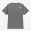 The North Face White Label Cotton Short Sleeve Round Tee Gray Nt7us00l