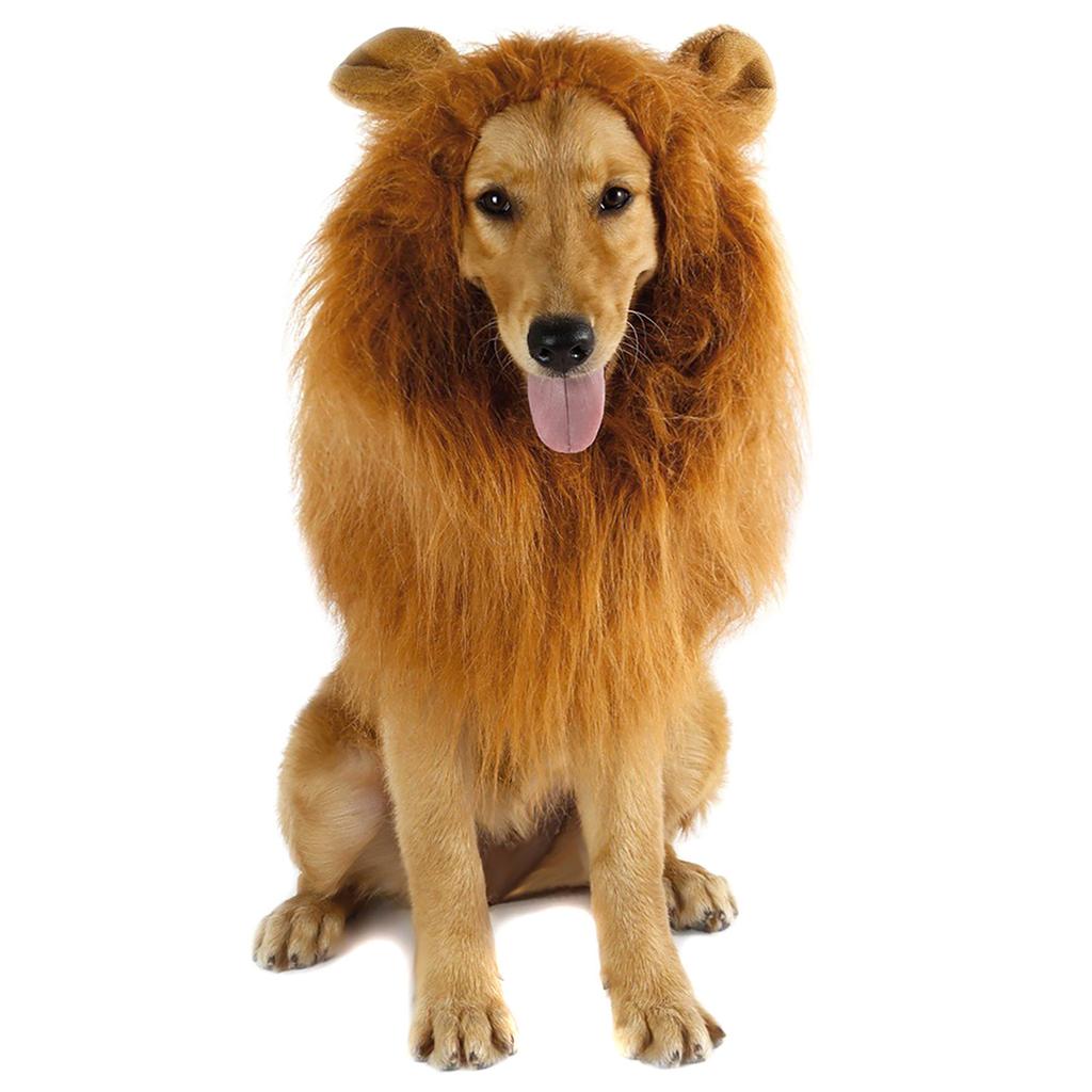 Pet Lion  Wig Costume Funny Pet Puppy Dress Up Hat Furry Pet Clothing Accessories for Photo Shoots Cospaly Party