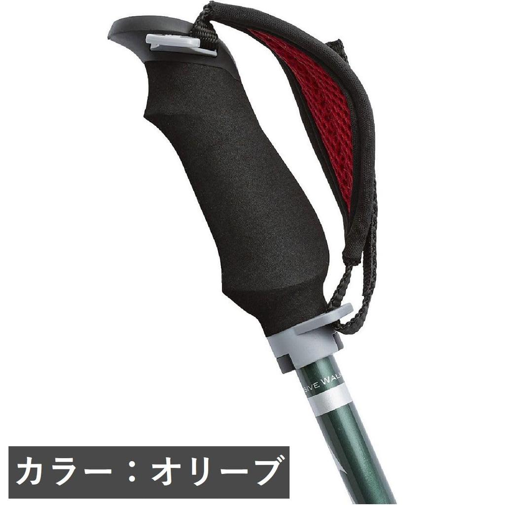 MIZUNO Nordic Walking Walking Poles Alkerne of Short C3JTPD20 4A-1 (Pair 2), Unisex, Violet, Type,