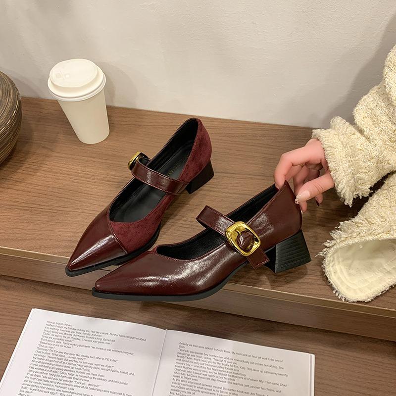 Pointed Toe Mary Jane Shoes Women's Spring New Vintage Versatile Block Heel One Strap Shoes