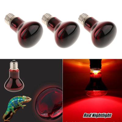 3 Pcs Pet Supplies Lamp Bulb for Reptile And Amphibian 75W