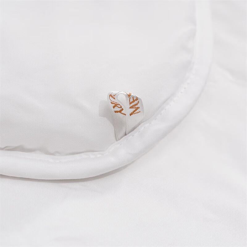 Mercury Home Textiles All-Season Quilt