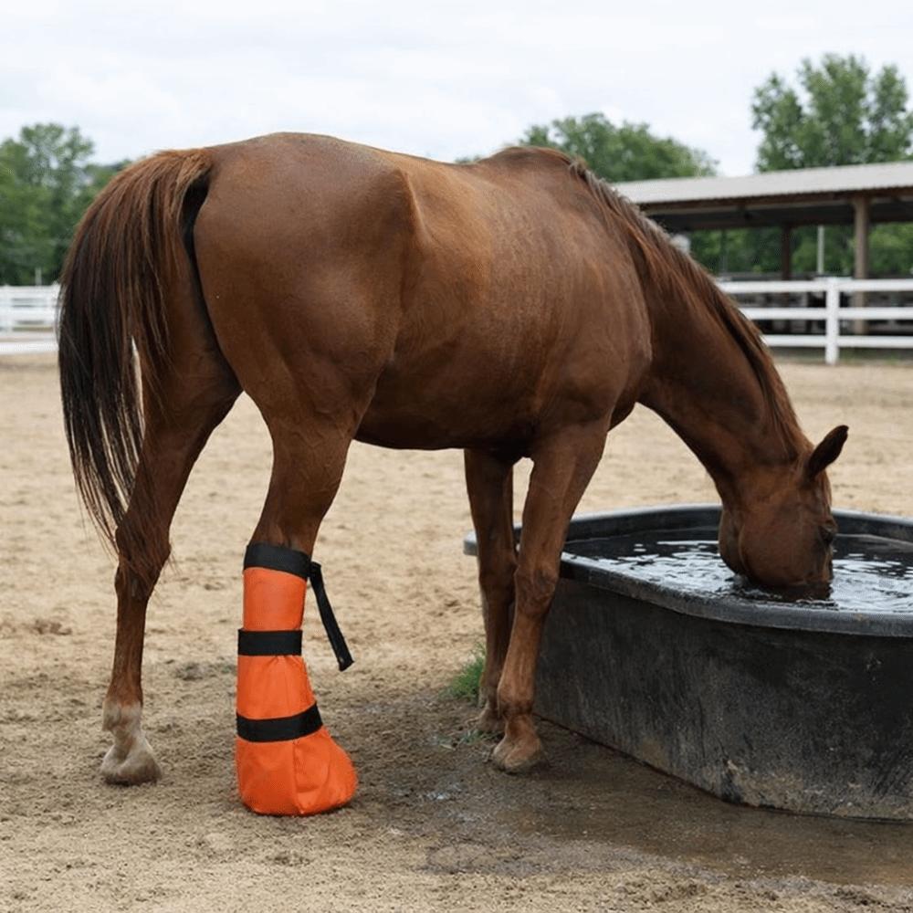 With Elastic Band Hoof Soaking Boot Adjustable Horse Hoof Boots Hoof Waterproof Bag  Stables