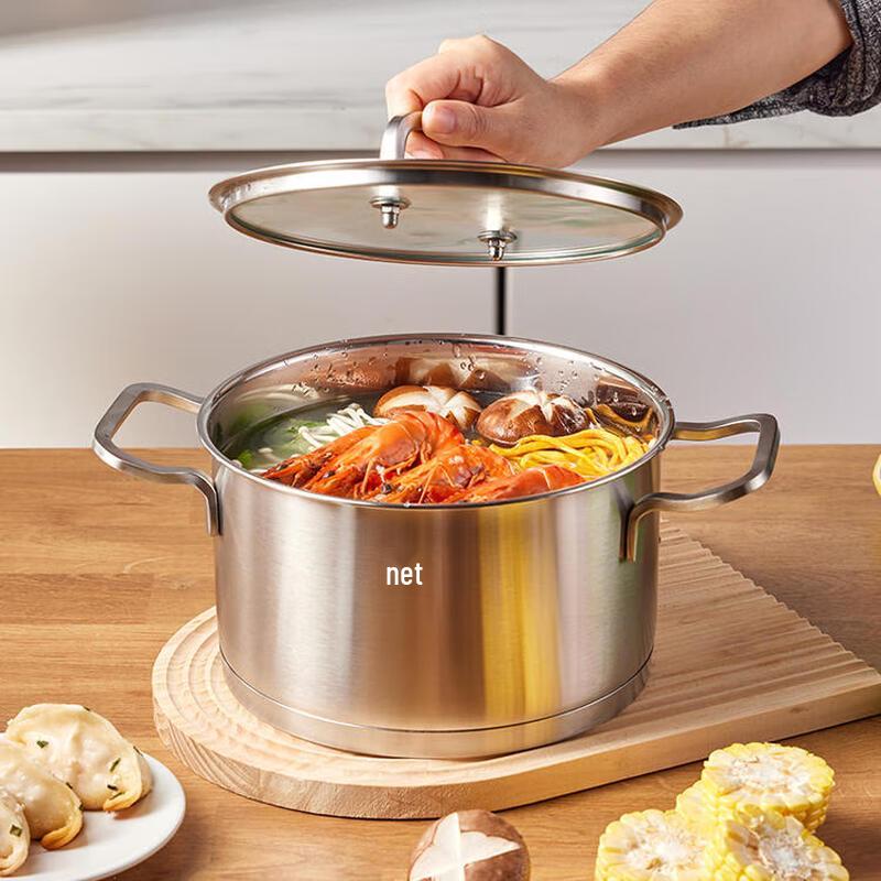 Zwilling Moment 20cm Deep Stewpot with Glass Lid