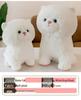 Adorable Short-Eared Cat Plush Toy - Soft Cuddly Doll for Kids and Cat Lovers