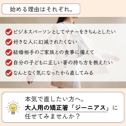 FlaColle Genius Chopsticks for Middle Schoolers To Adults: "Never Give Up, Serious Chopsticks for Adults" - Chopstick Practice Chopsticks [Designed To