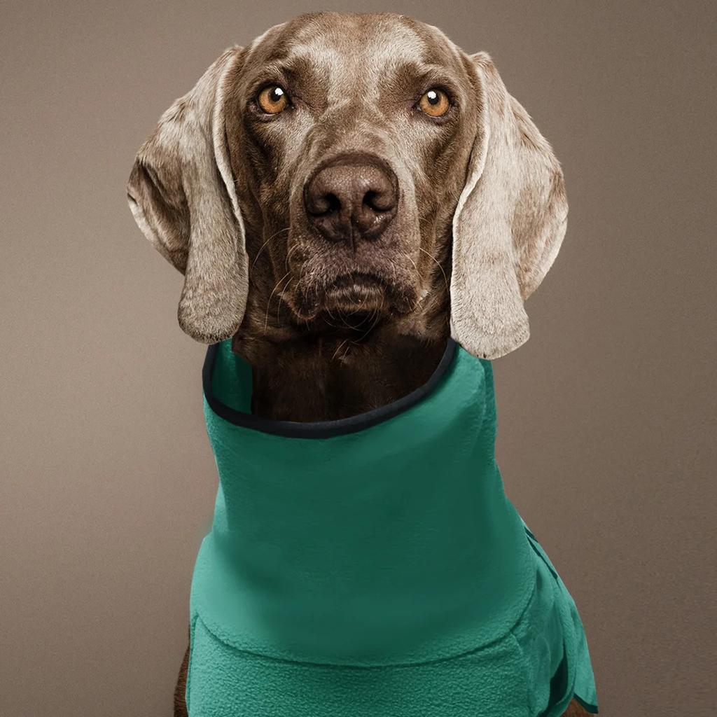 Zimowe ubrania dla psa, ciepły płaszcz dla dużego psa, ubrania dla szczeniaka, kamizelka dla zwierząt, kurtka dla małych, średnich i dużych psów, golden retriever