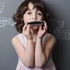 EAST TOP Harmonica Set 7 Tone Bb C D E F 10 Hole Harmonica 10 Holes 20 Tone Stainless Steel Cover ABS Case Clean Cloth Suitable for Learning and