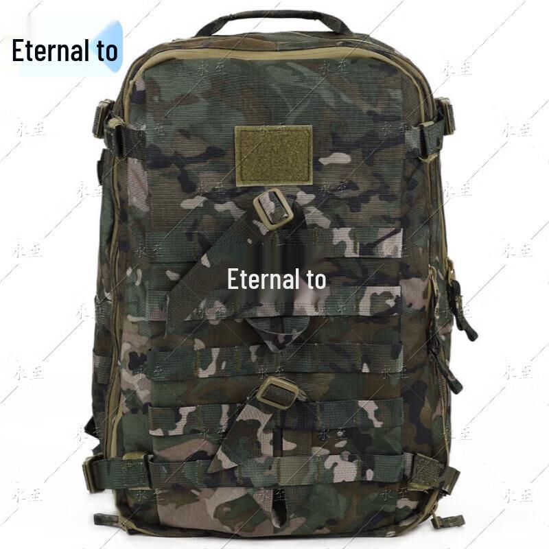 Yongzhi Tactical Assault Backpack