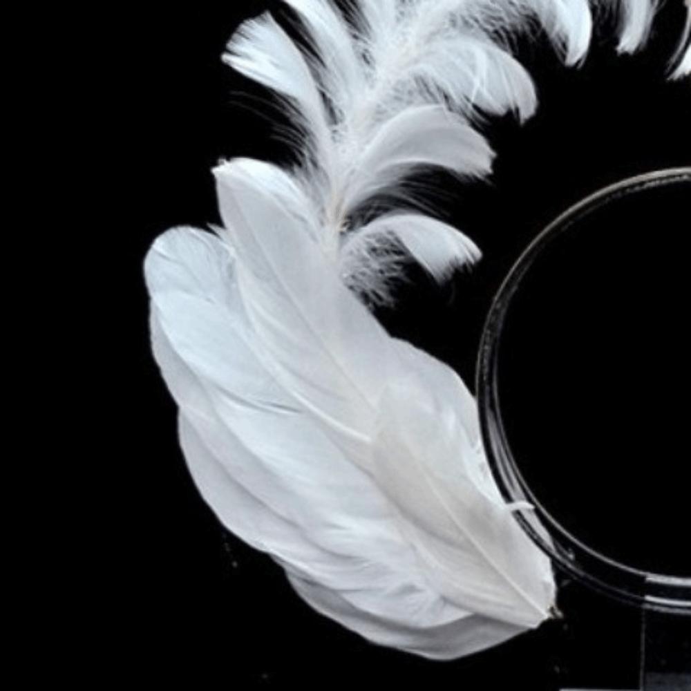 Dress Up Props Feather Halo Crown Headband Double Layer Wing Hair Hoop  Christmas Party