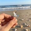Exquisite Shell Finger Ring Surprise Open-and-close Ring Trendy Artificial Pearl Ring  Hipster