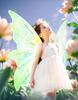 Electric Devil Butterfly Wings: New Elf Fairy Wings with Light and Music