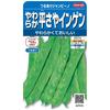 Sakata Seed Vegetable Seeds - Pole Bean Jambino (Soft Flat Pod) - 26ml - High Germination Rate for Home Gardening