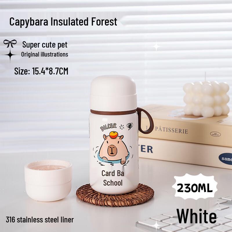 Dilebel 316 Stainless Steel Mini Insulated Water Bottle