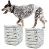40Pcs/Set Male Disposable Disposable Dog Diaper Hygienic Design Training Diaper  for Pet Training