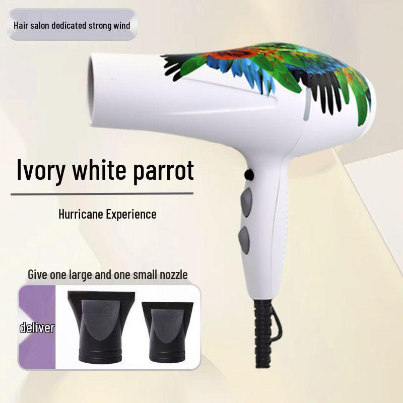 Professional High-Power Ionic Hair Dryer for Quick, Constant Temperature Hair Care