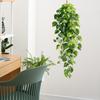 Simulated Green Ivy Wall Hanging Artificial Vine-like Green Plants Wall Decoration Vine Stickers