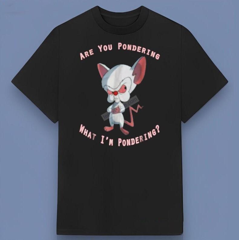 Pinky and The Brain Are You Pondering T-shirt Gift For Kids Family T-Shirts M