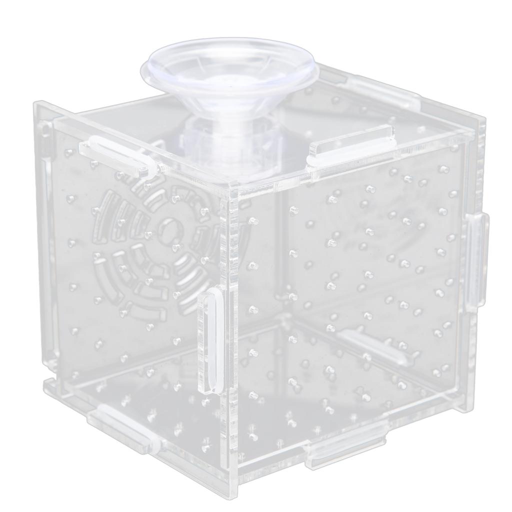 Fish Isolation Box Acrylic Fish Breeding Box Aquarium Hatchery for Baby Fishes ShrimpSingle Mini