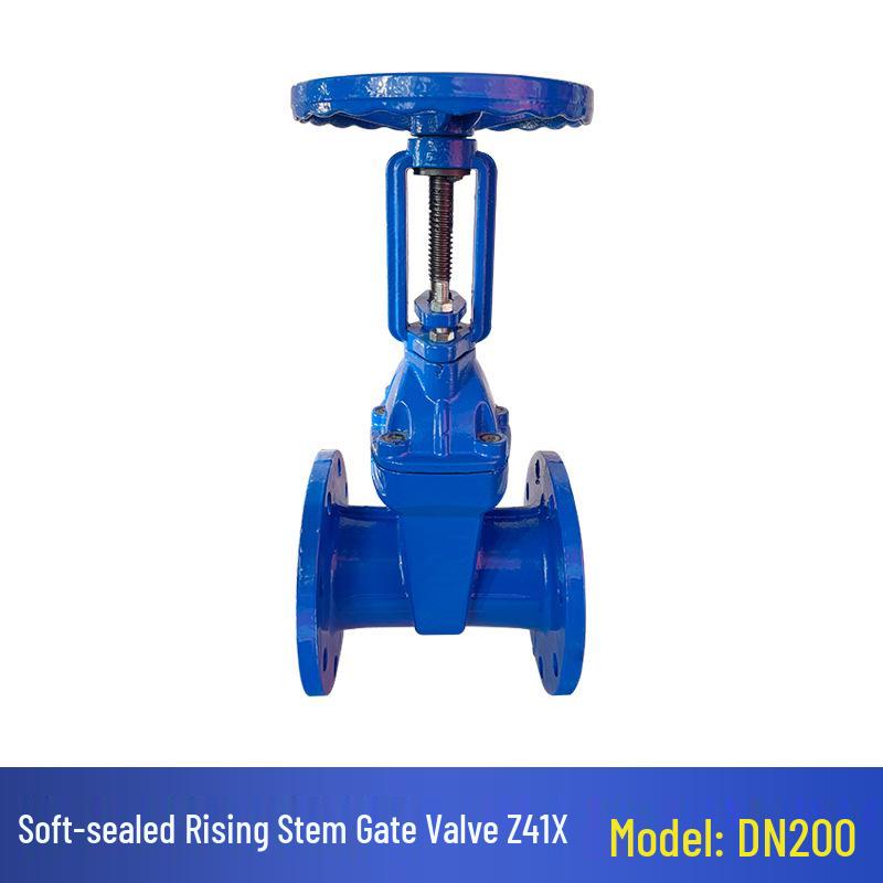 Z41X-16 DN100 Manual Rising Stem Elastic Seat Flanged Gate Valve for Tap Water