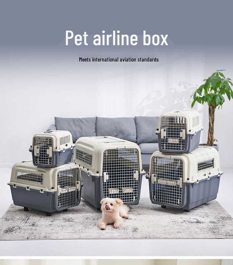 XDPC Xinding Pet Airline Crate: Durable Plastic Carrier with Iron Window for Cats & Dogs, Air China Approved