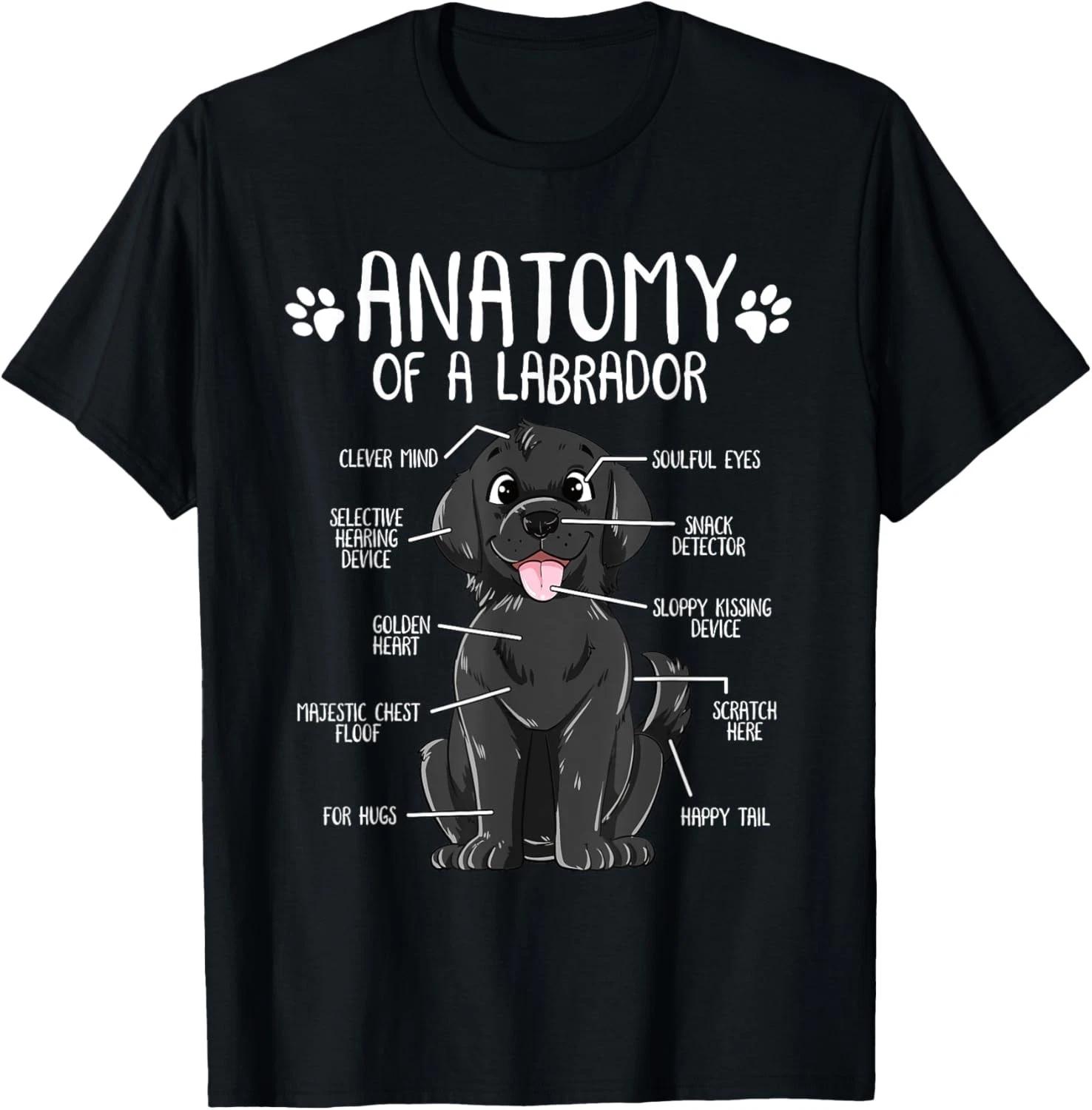 Funny Anatomy Labrador Retriever Black Lab Dog Owner T-Shirt M