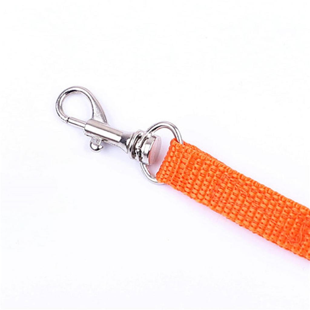 Kanin Katteseler og Båndsett Justerbare Seler for Kanin Kattunge Piggsvin Kjæledyr Utendørs Gåutstyr Tilbehør