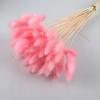60Pcs Rabbit Tail Dried Grass Natural Bunny Tail Grass for Flower Arrangement Table Decoration Wedding Decor Garden Party DIY