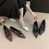 Silver Mary Jane Shoes Light Mouth Lace-up Bow Spring 2025 New Soft Flat French Evening Single Shoes Women's Shoes