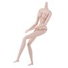 1/6 Doll Jointed Nude BJD Dolls Solid Doll Super Model Doll  Body Girl Toys
