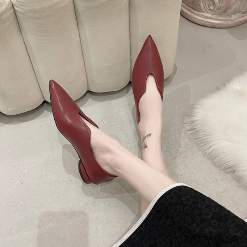 Tendance Femmes Chaussures Appartements Sandales Été Nouvelle Mode Bout Pointu Rétro Oxford Chaussures Mules Décontracté Dames Chaussures Zapatos Mujer