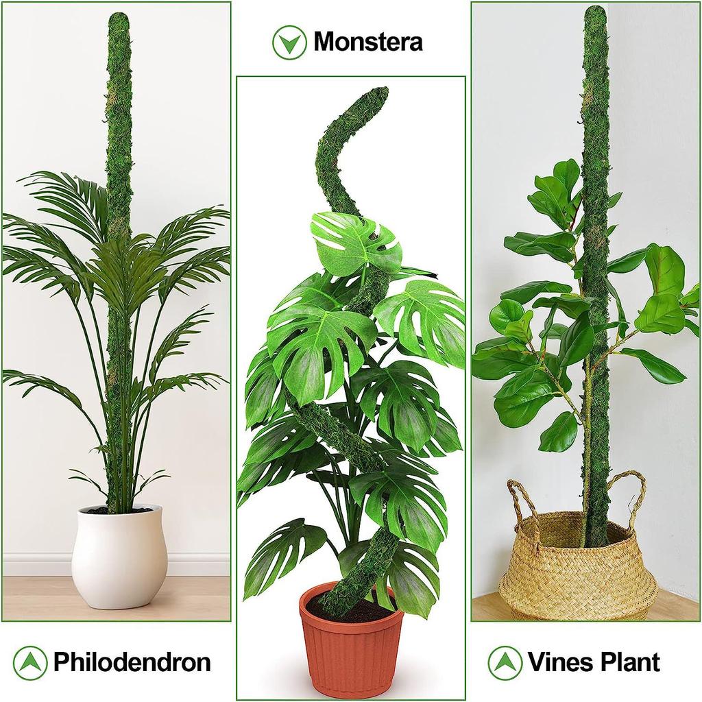 Kaufe Luo Gartenbau-Sule Flexibler Moosstab Kokosbrauner Stab DIY-frmige  Pflanzenkletterstange Kletterrebenfrmige grne Luo-Gartenbausule zum  Preis ab 10 | Joom