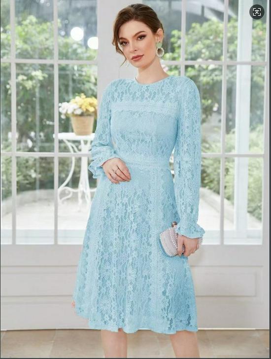 

European & American Spring/Autumn 2025 Goddess Style Lace French Waist-Hugging Long-Sleeve Dress Small