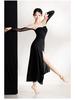 Falling Leaves Light Dance Mesh Splice Costume: Classical Black Camellia Body Shaping Suit