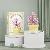 Eternal Flower Bouquet Bonsai Potted Plant Micro Building Blocks Model Home Decoration Puzzle Toys Kids Birthday Christmas Gifts