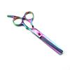 6.0 Inch Shenxingzhe Hairdressing Scissors Set: Straight, Bangs, and Thinning Shears