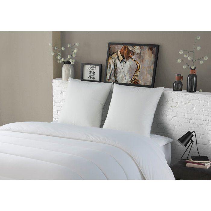 Set of 2 Medium Pillows - DODO - The AUTHENTIC - 60 X 60 Cm - White