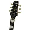 ARIA ProII BK Schwarz E-Gitarre 212-MK2