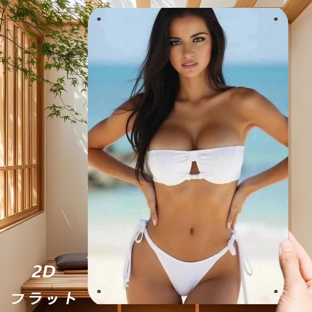 

Vintage Retro Metal Wall Art Sign 8x12 inch with PreDrilled Holes 20x30cm